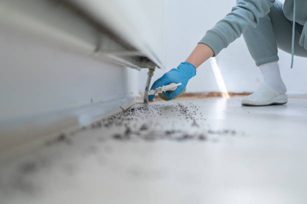 Reliable Merrillville, IN Pest Control Solutions